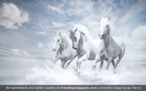 white-horses-wallpaper
